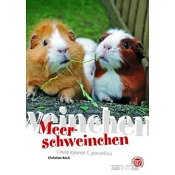 Meerschweinchen