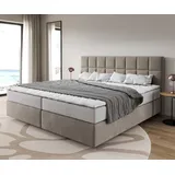 DeLife Boxspringbett Dream-Fine Mikrofaser Beige 200x200 cm mit Taschenfederkernmatratze und Topper Visco, Boxspringbetten