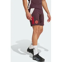 FC Bayern München Tiro 24 Trainingsshorts L