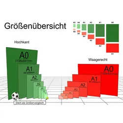Schild Achtung Lithiumbatterien Gefahrgutklasse 9a hochkant A6 Rückseite selbstklebend