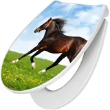 Banjado Premium Toilettendeckel Mit Absenkautomatik WC-Sitz Soft Close Hygienischer Klodeckel Duroplast Mit Motiv Pferd