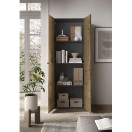 INOSIGN »Basic, Büroschrank mit 2 Türen (innen 3 Einlegeböden),«, hoher Mehrzweckschrank in verschiedenen Farben, B 63 x H 184 cm