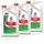 Castrol GTX 15F8FC 10W-40 5,0 l