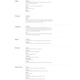 Specialized Turbo Levo 4 Comp 2025 29 Zoll RH 54 cm Unisex Gloss Deep Lake Metallic / Dune White