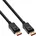 DisplayPort 1 Kabel 3 m
