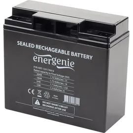Gembird BAT-12V17AH 12 V 17 Ah 4 St.