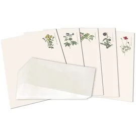 Quelle & Meyer Briefpapier "Flora"