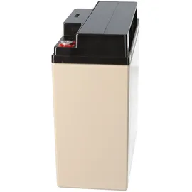 EnerSys Genesis NP18-12R 12V 18Ah M5 Flachpol AGM Blei Akku