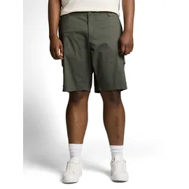 Tom Tailor PLUS, Herren, Gr. 46, N-Gr, khaki mini geometric print, Web, Obermaterial: 98% Baumwolle, 2% Elasthan, unifarben, normal kurz, Hosen Cargohose, Cargo-Shorts mit Stretch