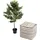 Kare Deko Pflanze Olive Tree 120cm",