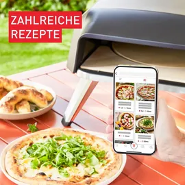 Tefal Pizza Pronto Pizzagrill grau