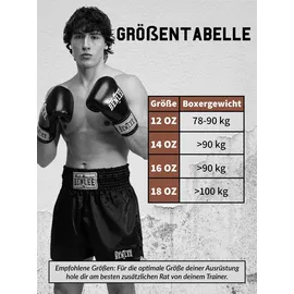 BENLEE Rocky Marciano Benlee Leather Boxing Gloves Premium Training 16 oz