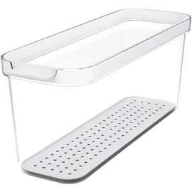 Rotho Frischhaltedose transparent 2 l