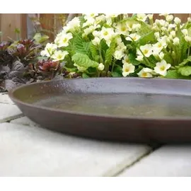 Eastwest Pflanzschale Ø 40 x 3,5 cm Rostfarben