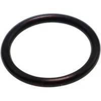 Kärcher Dichtung 16,0 x 2,0 mm