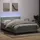 vidaXL Boxspringbett 160 x 220 cm Hellgrau