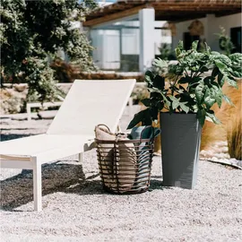 Prosperplast Furu Square 60 x 60 x 60 cm Grau