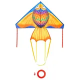 HQ Design - Delta 140cm, Kinderdrachen Flugdrachen Einleiner Drachen zum steigen Lassen, wenig Wind ab 5 Jahren, inkl. 17kp Polyesterschnur 40m auf Spule, 2-5 Bft (Rainbow Fish)