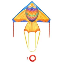 HQ Design - Delta 140cm, Kinderdrachen Flugdrachen Einleiner Drachen zum steigen Lassen, wenig Wind ab 5 Jahren, inkl. 17kp Polyesterschnur 40m auf Spule, 2-5 Bft (Rainbow Fish)