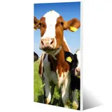 banjado Magnettafel 37x78cm Magnetwand Weiß Aus Metall Magnetpinnwand Pinnwand Inkl. 4 Magnete Motiv Kühe