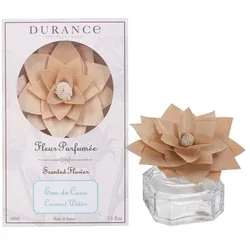Kokoswasser Duftblume 100ml