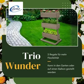Coemo Vertikalbeet Hochbeet 50 x 30 x 75 cm Grau
