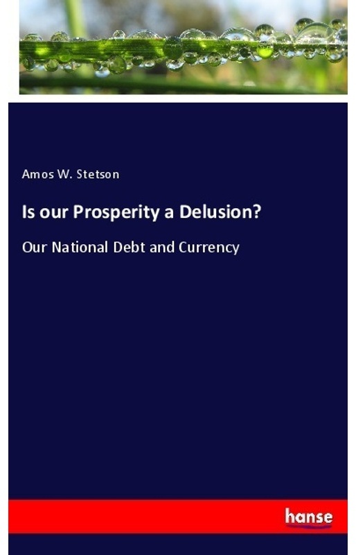 Is Our Prosperity A Delusion? - Amos W. Stetson  Kartoniert (TB)