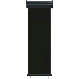 vidaXL Seitenmarkise 65 x 250 cm Schwarz Polyester