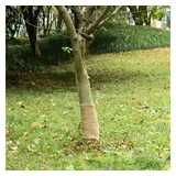 vidaXL Jutegewebe 0,25x25 m 100% Jute 200 g/m2