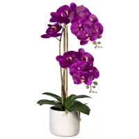 Kunstblume Orchidee, Höhe 60 cm, im Zementopf, Creativ green lila