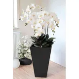 artplants.de Kunst Phalaenopsis Orchidee Wilhelmina, Holztopf, weiß, 150cm - Kunstblume Orchidee