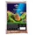 dehner aqua premium Aquarienkies Indian-Summer 5 kg