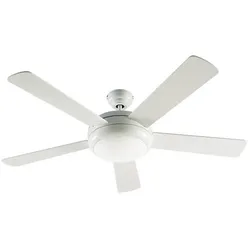 CasaFan Titanium WE Deckenventilator  (Ø) 132 cm Flügelfarbe: Weiß (glänzend) Gehäusefarbe (Details)