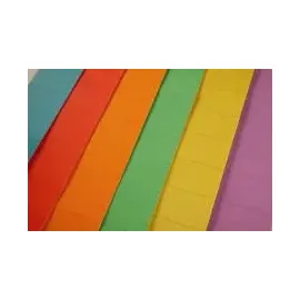 Magnetoplan Einsteckkarten 70 mm Blau 90 St.