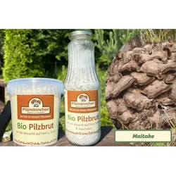 Klapperschwamm-Pilzbrut BIO 1 Liter