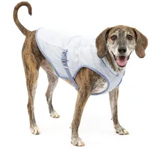 PetSafe Kühlweste für Hunde XL