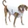 PetSafe Kühlweste für Hunde XL