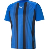 Puma teamLIGA Striped Jersey-704920 S