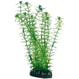 Dohse Plantasy Set 6