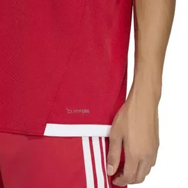 adidas Tiro 26 Competition Match Day rot L