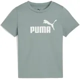 Puma Essentials No. 1 Logo Tee PS green moon 104