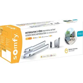 SOMFY 2400780 - SGS 201 RTS Motorisierung für Pendeltor Fernbedienung