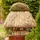 Voss.garden Vogelhäuschen Amrum mit Reetdach, - rund, Ø 45cm