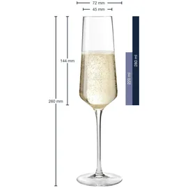 LEONARDO Puccini Sektglas 0,3 l 6-tlg.