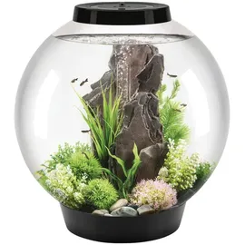 biOrb CLASSIC 60 LED Nanoaquarium Zubehör schwarz