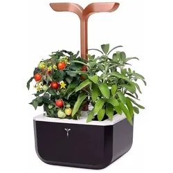 Véritable Exky Smart Cooper - Indoor Kräutergarten (Farbe: Soft Black)