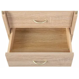 Interlink Novi Rollcontainer 40 x 37 x 65 cm braun