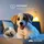 masseno Ecksofa SELVA mit Schlaffunktion L-Form, Sofa mit Bettkasten, Wohnzimmersofa, Couch, Soffa, Bettsofa, Couchgarnitur- Braun, MONOLITH 29... - Braun