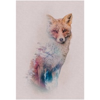 KOMAR Animals Forest Fox - Größe: 50 x 70 cm, Wandbild, Poster, Kunstdruck (ohne Rahmen), PURE Boutique