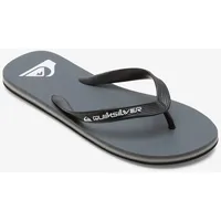 QUIKSILVER Zehentrenner QUIKSILVER "MOLOKAI CORE", Herren, Gr. 45, grau,